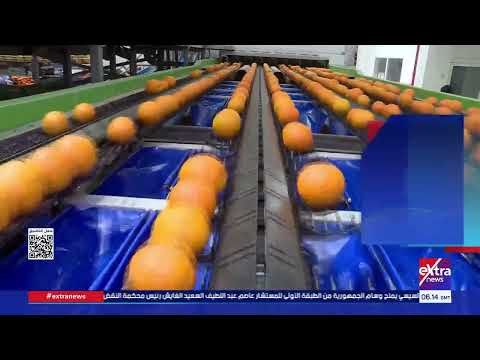 تطور الصادرات الزراعية والصناعات الغذائية
