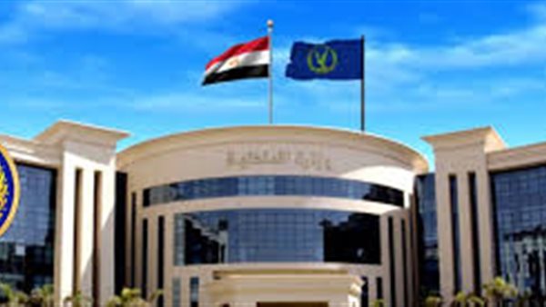الأمن يكشف حقيقة فيديو التعدي على سيدة بالمنتزه