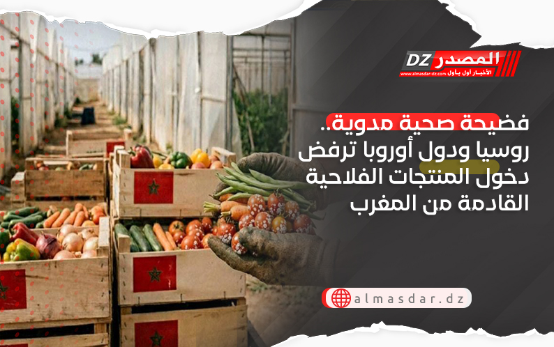 فضيحة صحية مدوية.. روسيا ودول أوروبا ترفض دخول المنتجات الفلاحية القادمة من المغرب