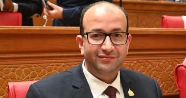 النائب عمرو عويضة: بيان الحكومة أمام النواب يعكس إدارة واقعية لأزمة عالمية