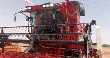 الحصاد الذهبي.. أول مبادرة لدعم الحصاد المميكن لمحصول القمح بالوادي الجديد