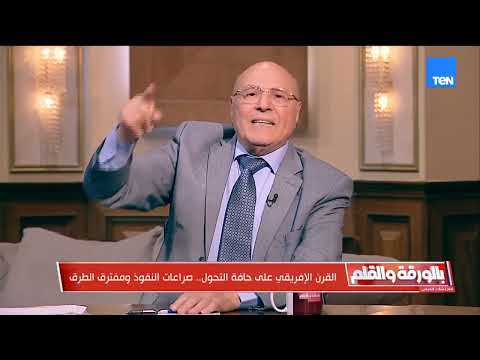د. زكي البحيري: الدور المصري كان مهم في حركة التحرر الوطني في أفريقيا