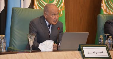 أبو الغيط: الاستدامة خيار استراتيجي وصمام أمان لمستقبل المنطقة العربية