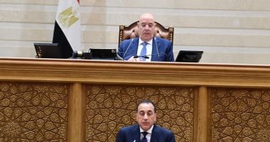 نائب: كلمة الحكومة أمام النواب تعكس قوة الدولة في إدارة الأزمات