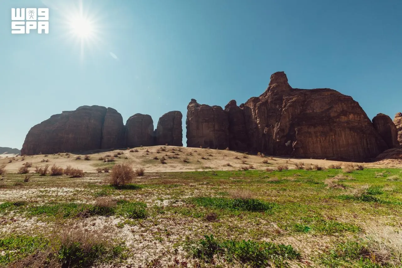 6 محميات طبيعية تصونها العُلا ضمن نطاقها البيئي