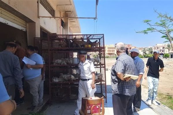 جهاز دمياط الجديدة يشن حملة مكبرة لغلق وتشميع المحال والبدرومات المخالفة