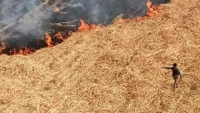 تزامنًا مع نشاط الرياح.. محافظ قنا يناشد المزارعين بعدم حرق مخلفات القصب