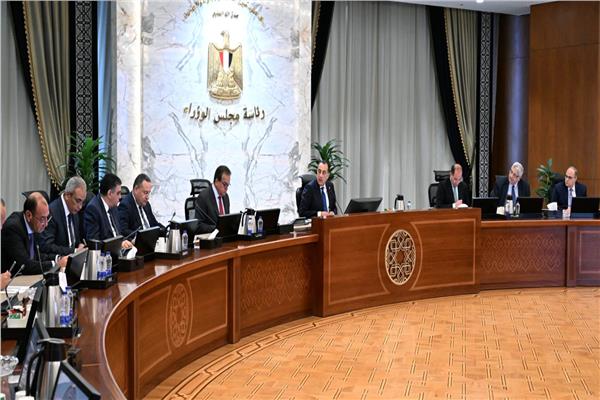 رئيس الوزراء يتابع موقف توافر مخزون من الأدوية والمستحضرات الطبية وسداد مستحقات الشركات