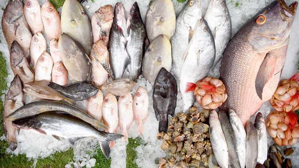 سعر السمك اليوم، انخفاض كبير في 4 أصناف والبلطي المتوسط يسجل 80 جنيها