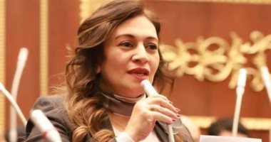 عضو مجلس الشيوخ: قوانين الأسرة تحتاج إلى تغيير بعض المفاهيم المجتمعية