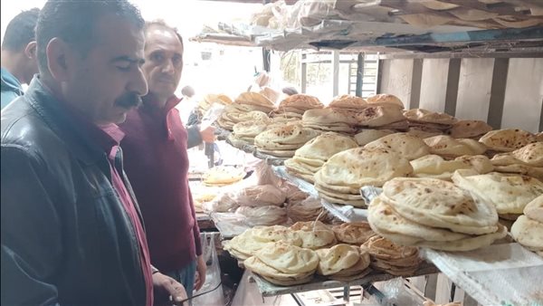 حملة تموينية تحرر 41 محضرا بمدينة الإسماعيلية والقنطرة شرق (صور)