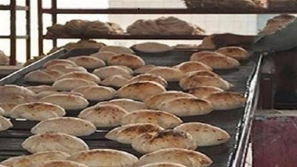 خلال عيد الأضحي.. تحرير 4416 مخالفة تموينية ضمن حملات رقابية على الأسواق