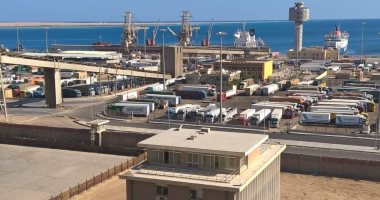 ميناء سفاجا البحرى يستقبل السفينة وادى طيبة وعلى متنها 66 ألف طن قمح روسي
