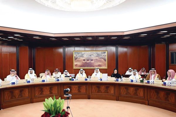 تقارير «تنظيم الكهرباء» و«واس» على طاولة الشورى