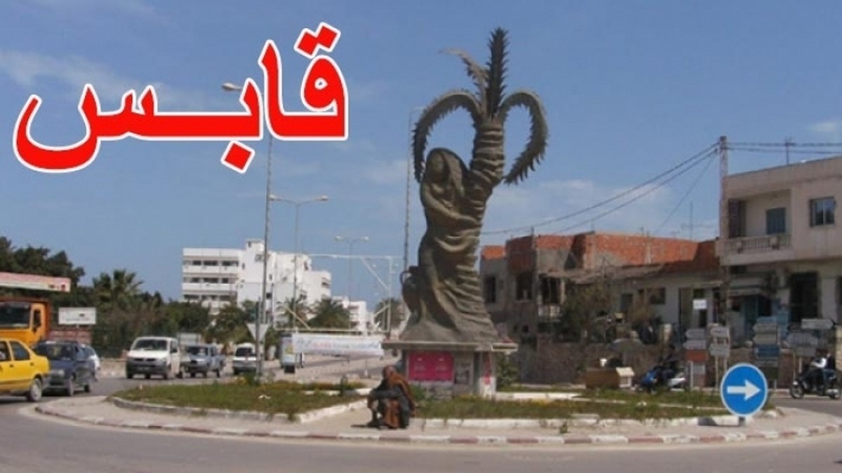 وزير الفلاحة يكشف عن مشاريع جديدة لتنمية خليج قابس وحماية المصايد البحرية