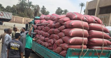 محافظ سوهاج: توريد 5801 طن قمح وتجهيز 15 موقعا لاستقبال المحصول