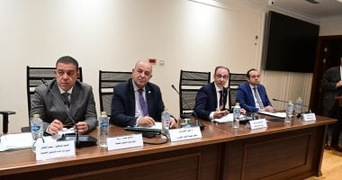 "صحة النواب" تعتمد موازنات الهيئات وتوصي بزيادة دعم المجلس الصحي