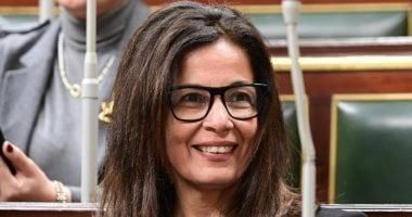 تأجيل اللقاء المفتوح الذى يجمع بين جيهان زكى وفنانى الحركة التشكيلية