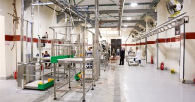 "أول نموذج أخضر بكود عالمي على أرض مصر".. مجزر كفر شكر النصف آلي × 10 معلومات