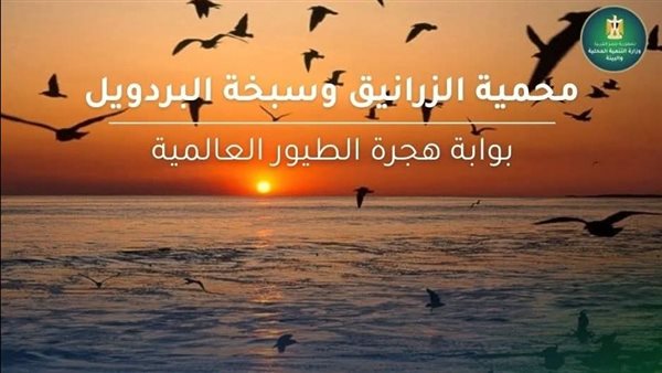 محمية الزرانيق وسبخة البردويل في شمال سيناء، بوابة هجرة الطيور بين أوروبا وأفريقيا