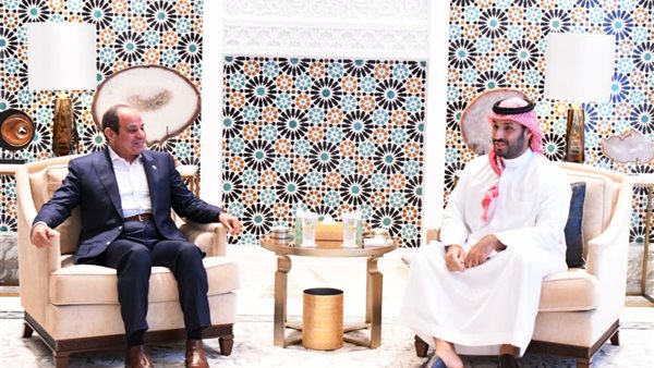 مصر والسعودية تؤكدان أهمية تعزيز التضامن العربي واحترام سيادة الدول