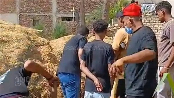 الشرقية تواجه موسم الزواحف، 4 مصابين بلدغات ثعابين وعقارب خلال ساعات
