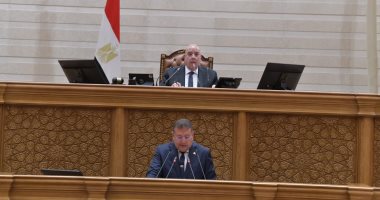 اقتصادية النواب عن تعديلات سجل المستوردين: للحد من استيراد السلع غير الضرورية