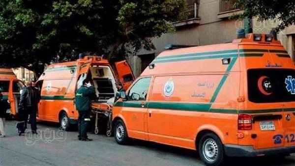 جريمة شنعاء في سوهاج، مريض نفسي يذبح والدته أثناء نومها