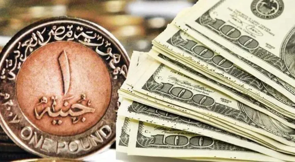 استقرار الدولار أمام الجنيه اليوم.. ترقب واسع لتحركات العملات بالبنوك المصرية