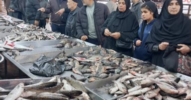 البلطي بكام في السوق؟.. أسعار السمك بالقليوبية اليوم الأحد 1 – 3