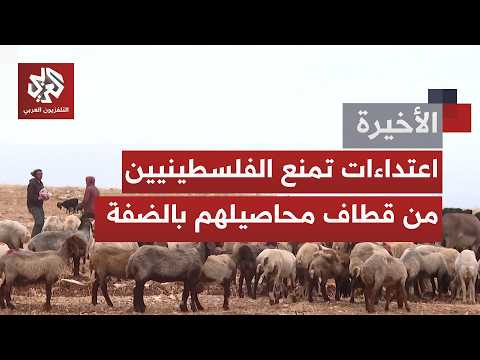 عنف متصاعد للمستوطنين تحت غطاء حماية جيش الاحتلال.. هجمات لا تتوقف وتحذيرات من اتساع الظاهرة