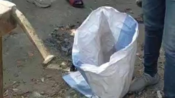 تفاصيل واقعة العثور على أجنة بشرية داخل برطمانات زجاج في المنيا.. ضبط 3 متهمين خلال ساعات من البلاغ
