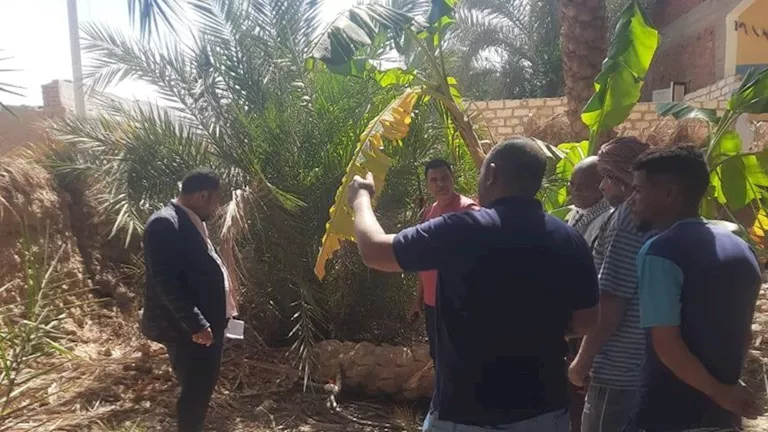 إجراءات حاسمة بمركز باريس في الوادي الجديد لترشيد استهلاك مياه الشرب