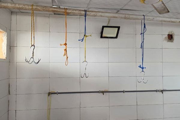 ضبط موقع مخالف في جدة يستخدم مسلخاً ومستودعاً لأغذية فاسدة