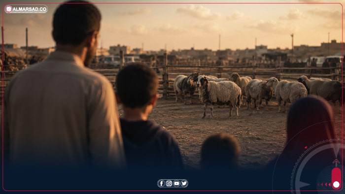دوغة: الطبقة الوسطى ستلجأ إلى الاقتراض لتوفير الأضاحي
