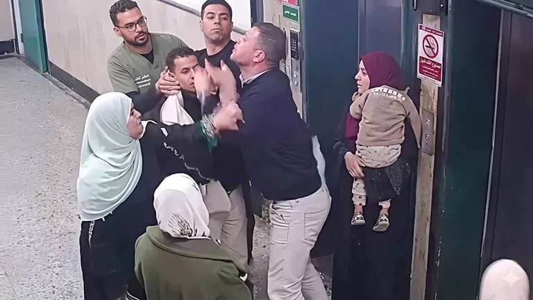 تفاصيل تعدي مواطن على طبيب جراحة داخل مستشفى الباجور بالمنوفية