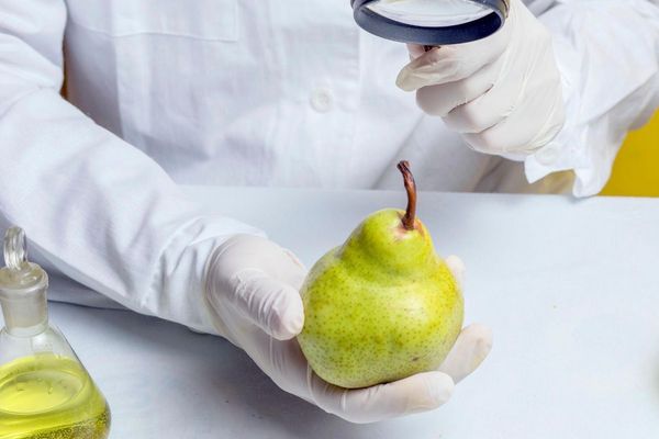 57 مليون سنة حياة تضيع بسبب الغذاء الملوث عالميا