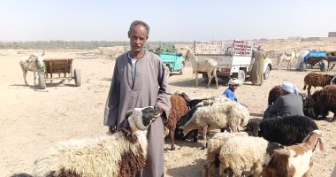 ما السن الشرعية للأضحية وهل يجوز التضحية بكثيرة اللحم التى لم تبلغ السن المحددة؟