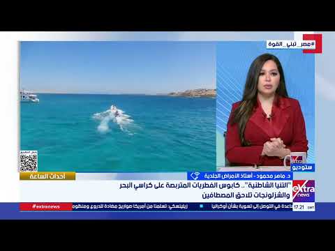 هل تترك التنيا تغييرات على لون الجلد لفترة بعد الشفاء منها؟ أستاذ أمراض جلدية يكشف التفاصيل