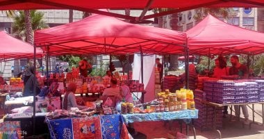 محافظة الإسكندرية تتابع انتظام إقامة أسواق اليوم الواحد بمختلف الأحياء