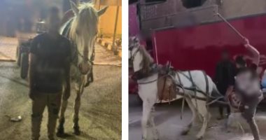 كرباج الخانكة يدمي القلوب.. كواليس فيديو تعذيب حصان القليوبية خلف القضبان