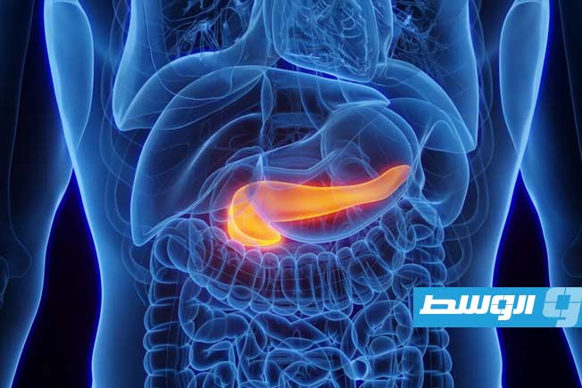 لقاح تجريبي يحقق نتائج «مذهلة» في مواجهة سرطان البنكرياس
