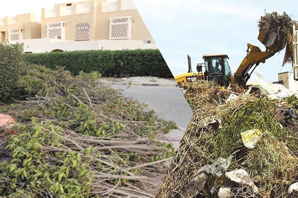 كيف يُمكن تحويل مُخلفات تقليم الأشجار والحشائش إلى عائد اقتصادي؟