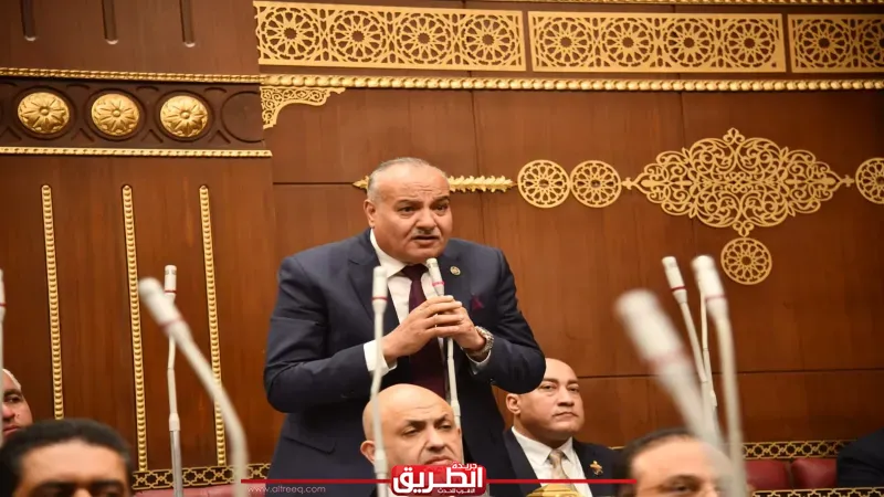 برلماني: تصريحات الرئيس خلال الاتصال مع ترامب تعكس ثوابت السياسة المصرية لدعم الاستقرار الإقليمي