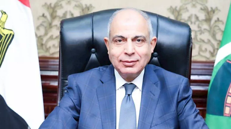 صوامع المنيا تستقبل 463 ألف طن قمح