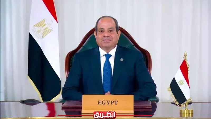 الرئيس السيسي يصدق على قانونين للبحث عن البترول بالصحراء الغربية والسويس