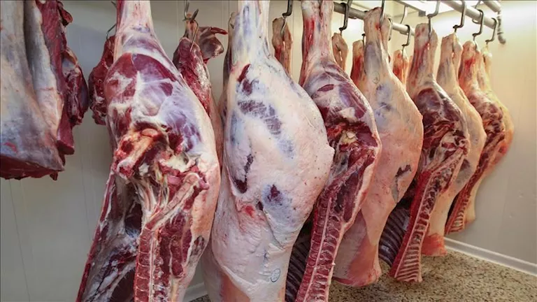 ارتفاع أسعار الجبن وانخفاض اللحوم والدواجن 2-4-2026 بالأسواق