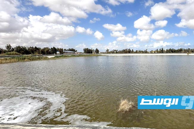 محطة أرصاد الزاوية تسجل أعلى كمية أمطار بين صباح الجمعة والسبت