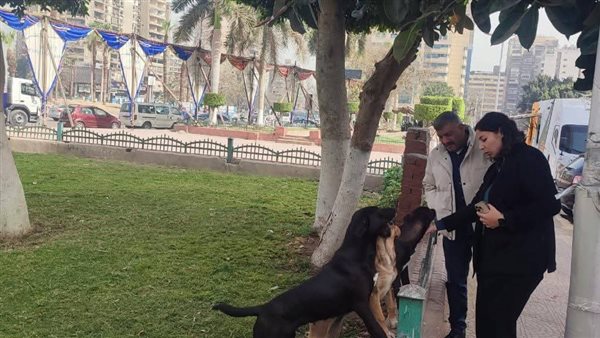 قبل صلاة العيد، تحرك عاجل في الدقي لضمان راحة المصلين