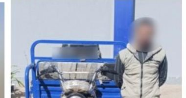ذكاء مواطن وكاميرا يكشفان سرقة تروسيكل بالمنيا